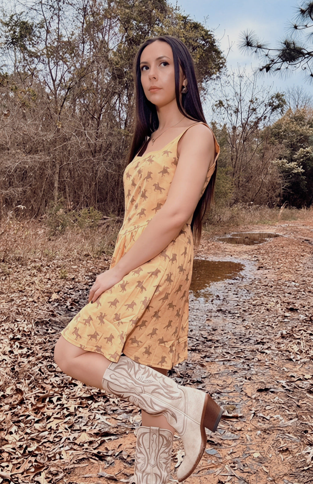 Cowgirl Canyon Rider Dress