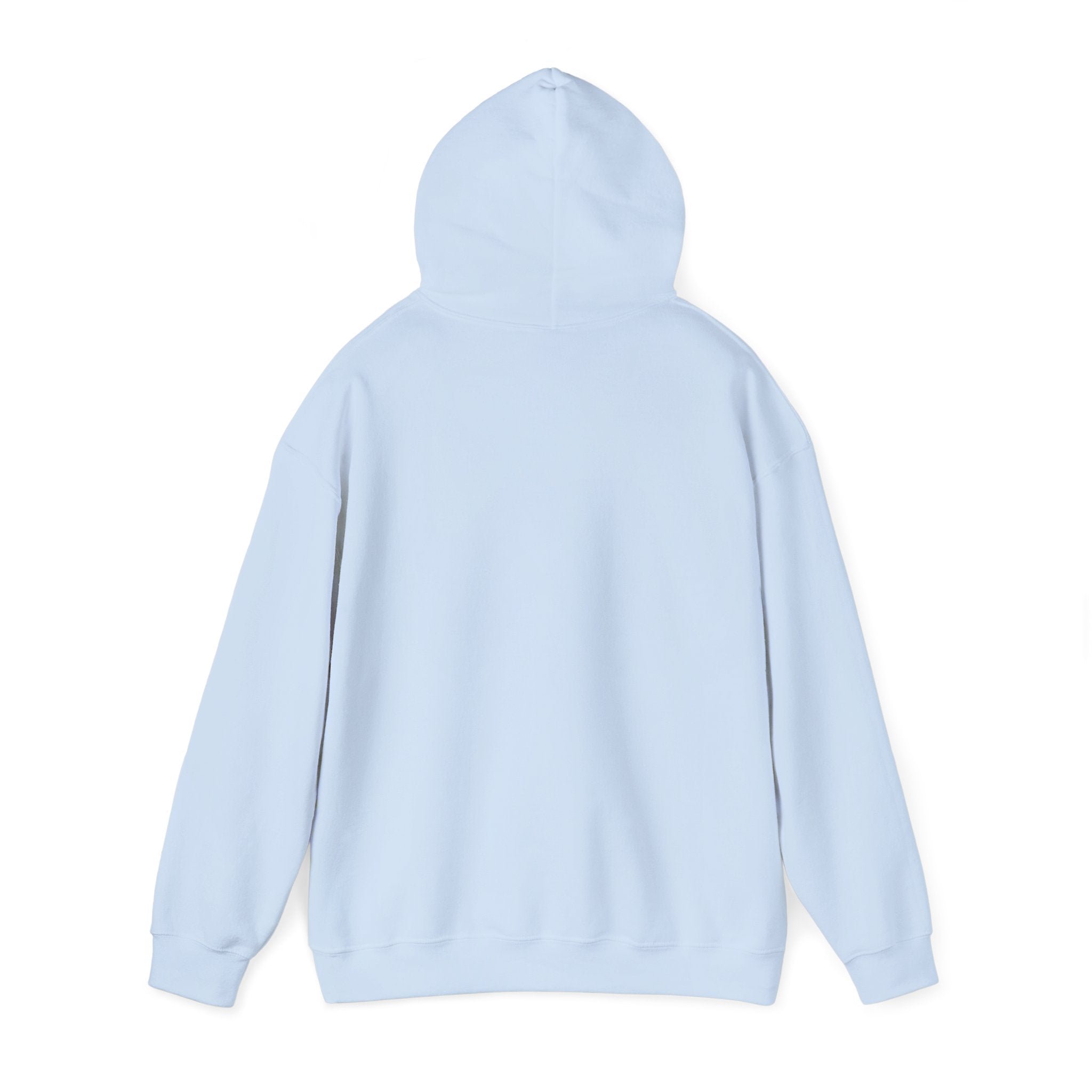 Feral but Free hoodie | Witty self-deprecating mental exhaustion sweatshirt