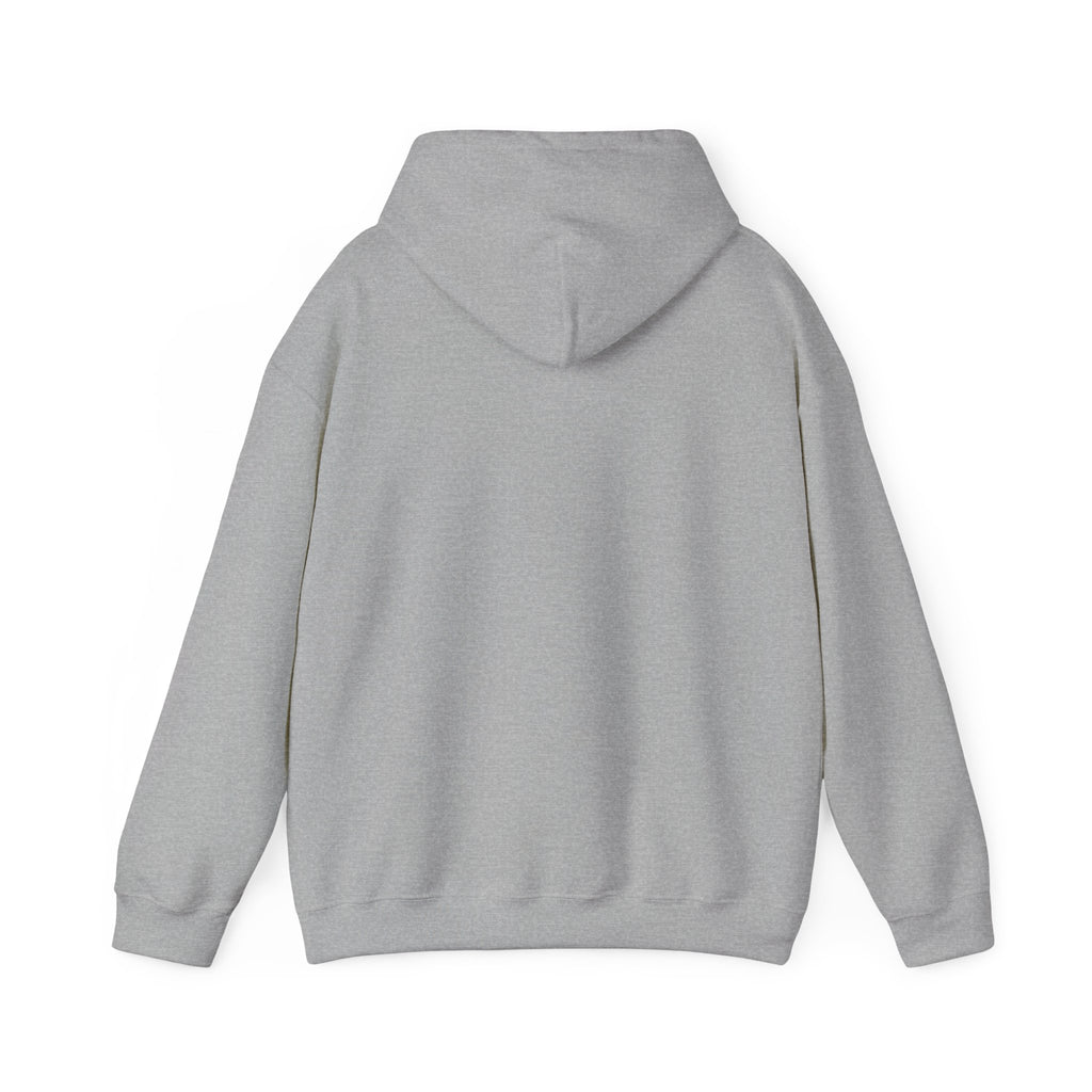 Racing Silly Horse Paddock Pass Hoodie | Meme Race-Day Fan Apparel