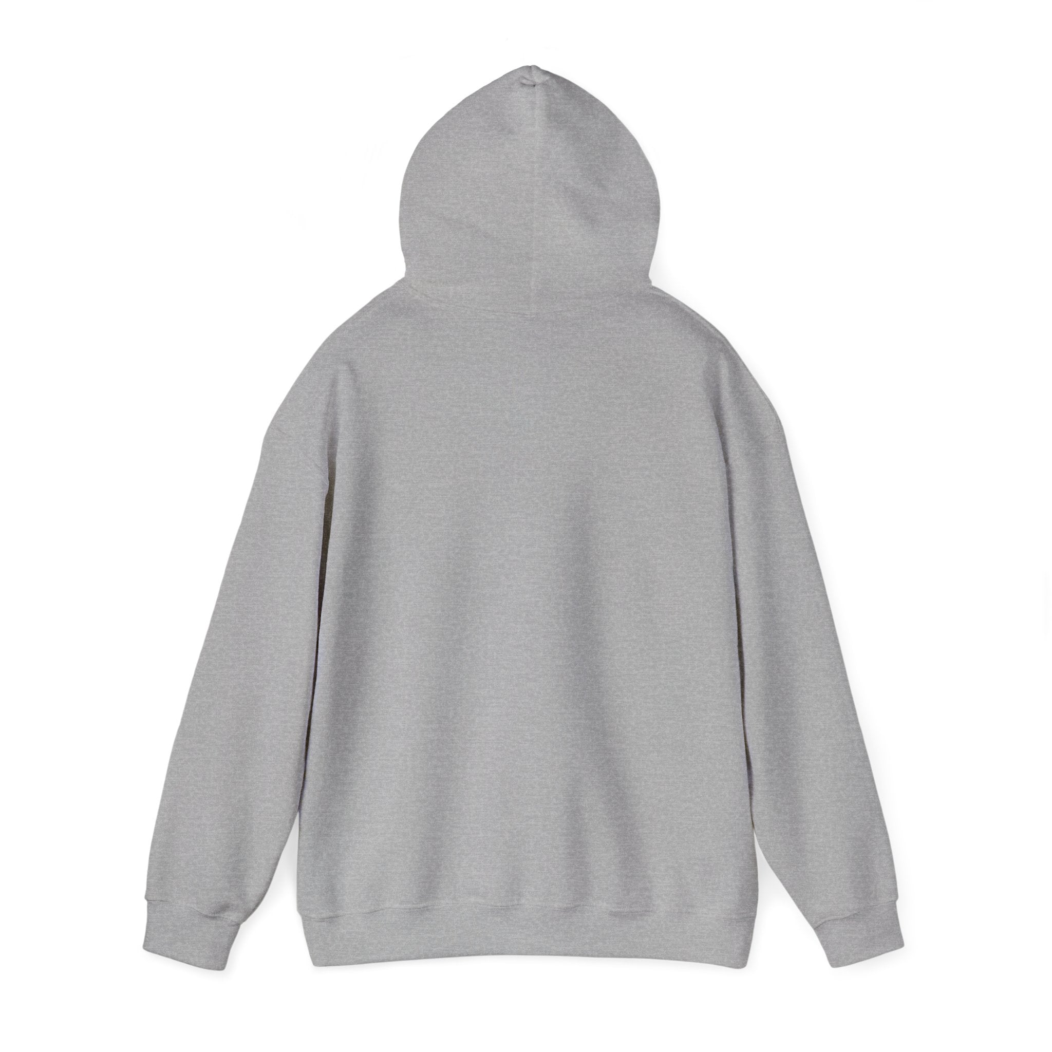 Racing Silly Horse Paddock Pass Hoodie | Meme Race-Day Fan Apparel