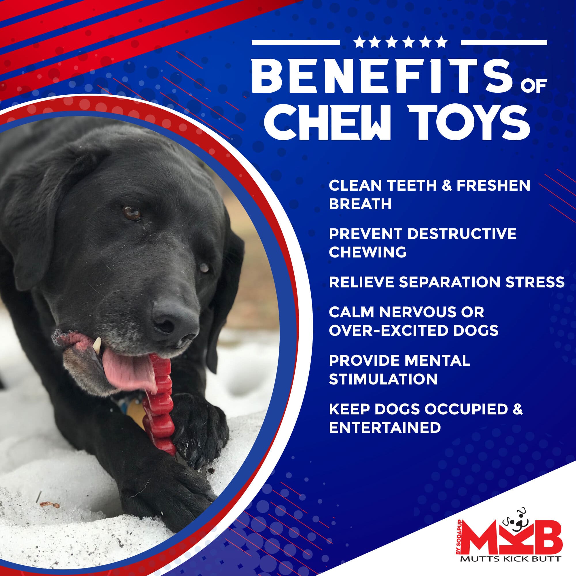 Christmas Tree Nylon Dog Chew Toy For Chewers American Made FDA Compliant
