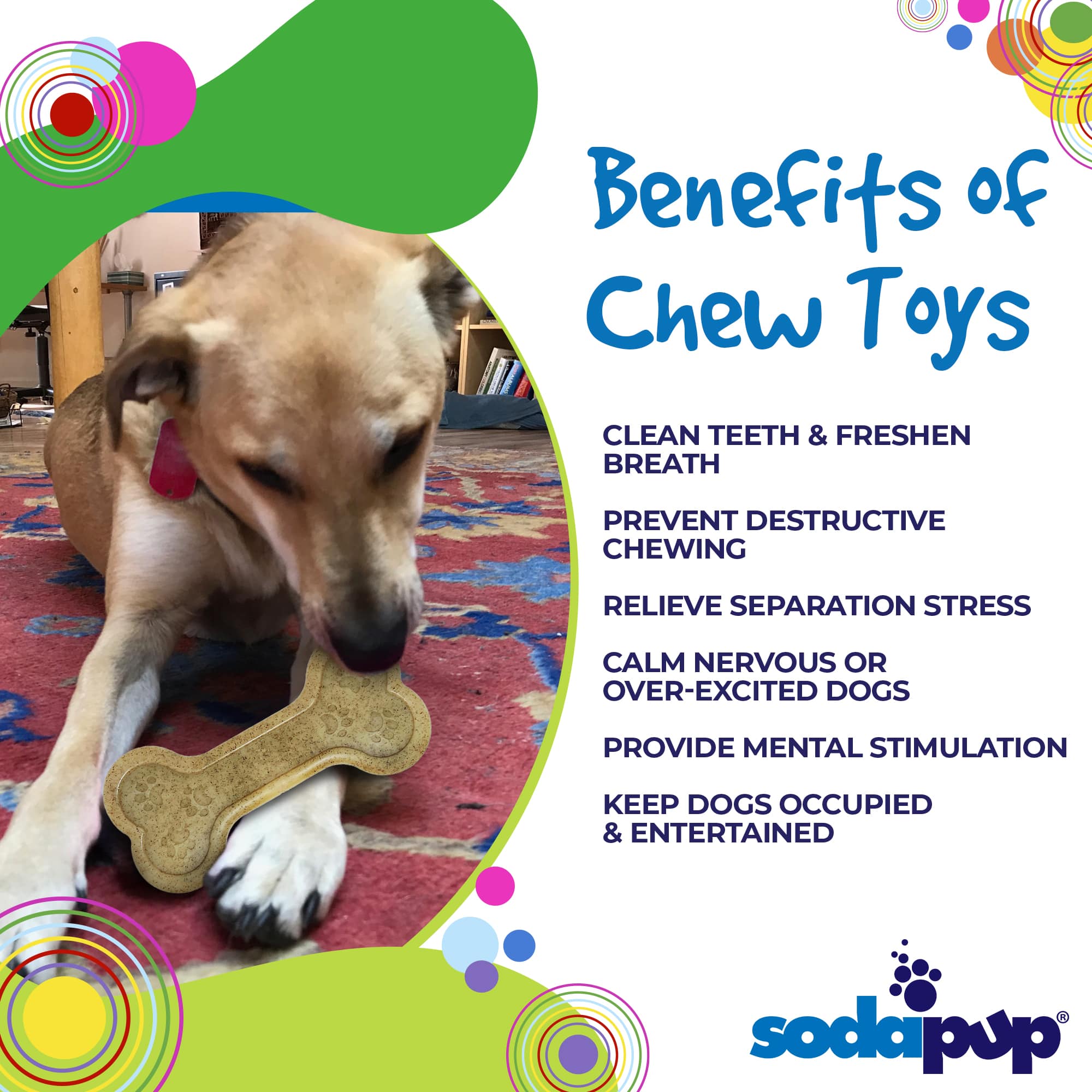 SodaPup Bone eChew Nylon Dog Chew Toy for Aggressive Chewers