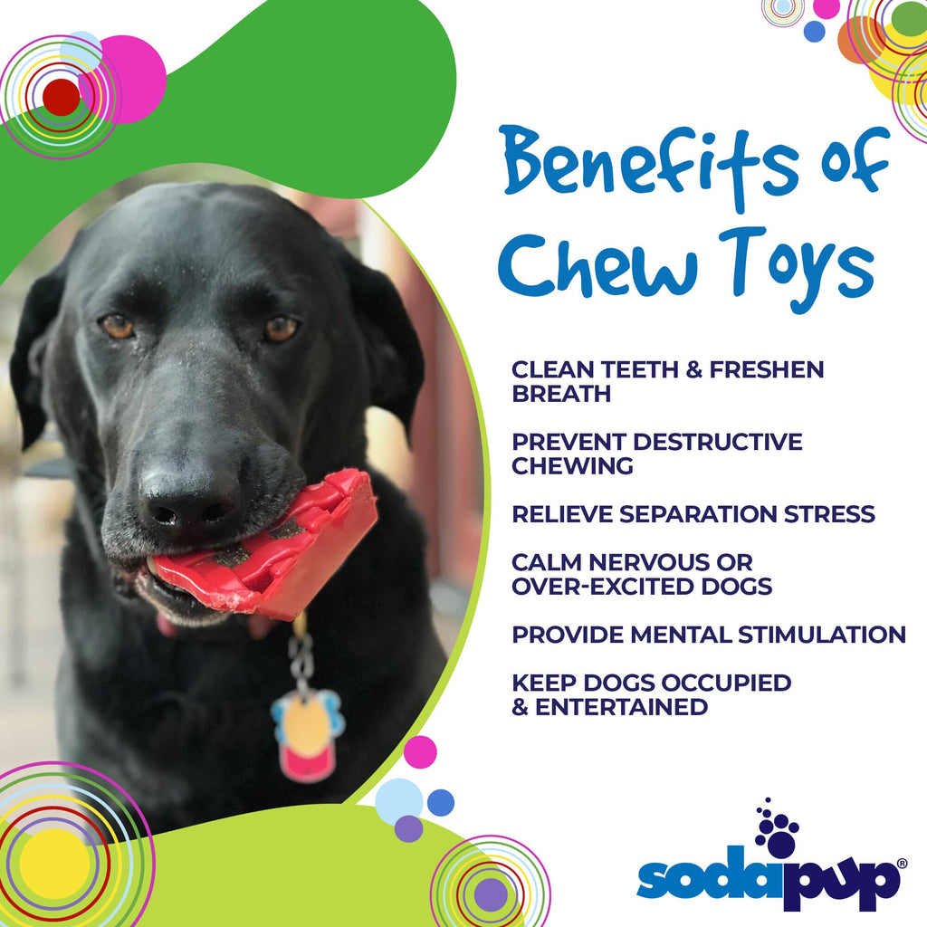SodaPup Cherry Pie eChew Nylon Dog Chew Toy for Aggressive Chewers
