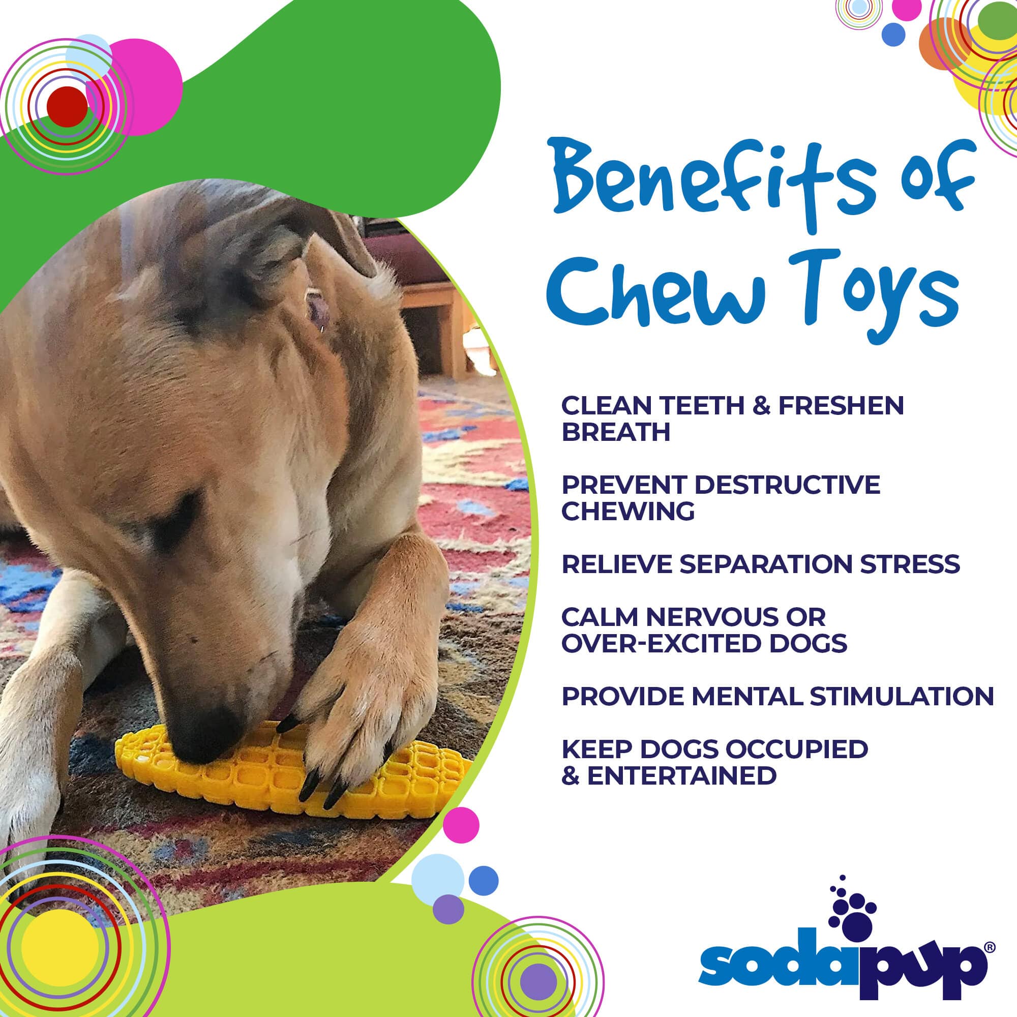 SodaPup Corn on the Cob Nylon Dog Toy for Aggressive Chewers United States Made