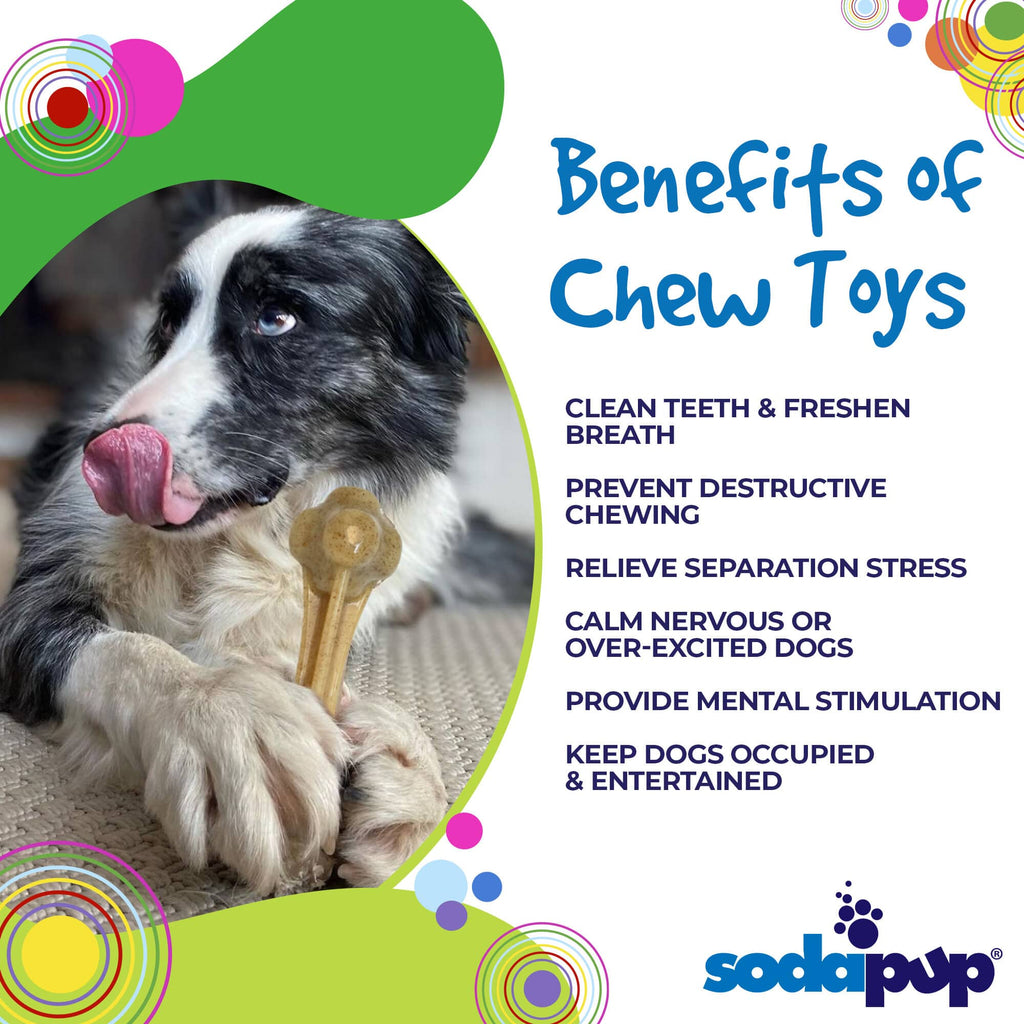 Knuckle Bone Nylon Dog Chew Toy For Aggressive Chewers Made in USA