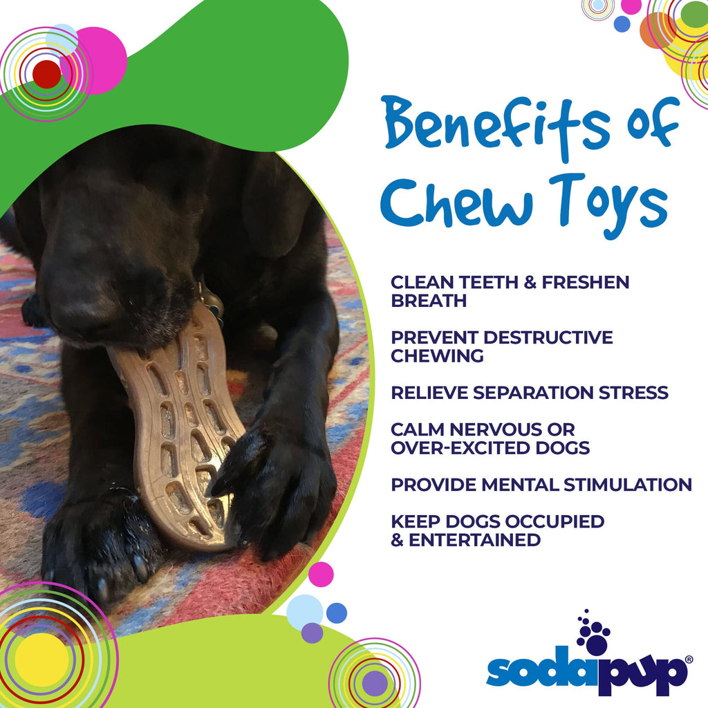 SodaPup Peanut eChew Nylon Dog Chew Toy Durable For Aggressive Chewers