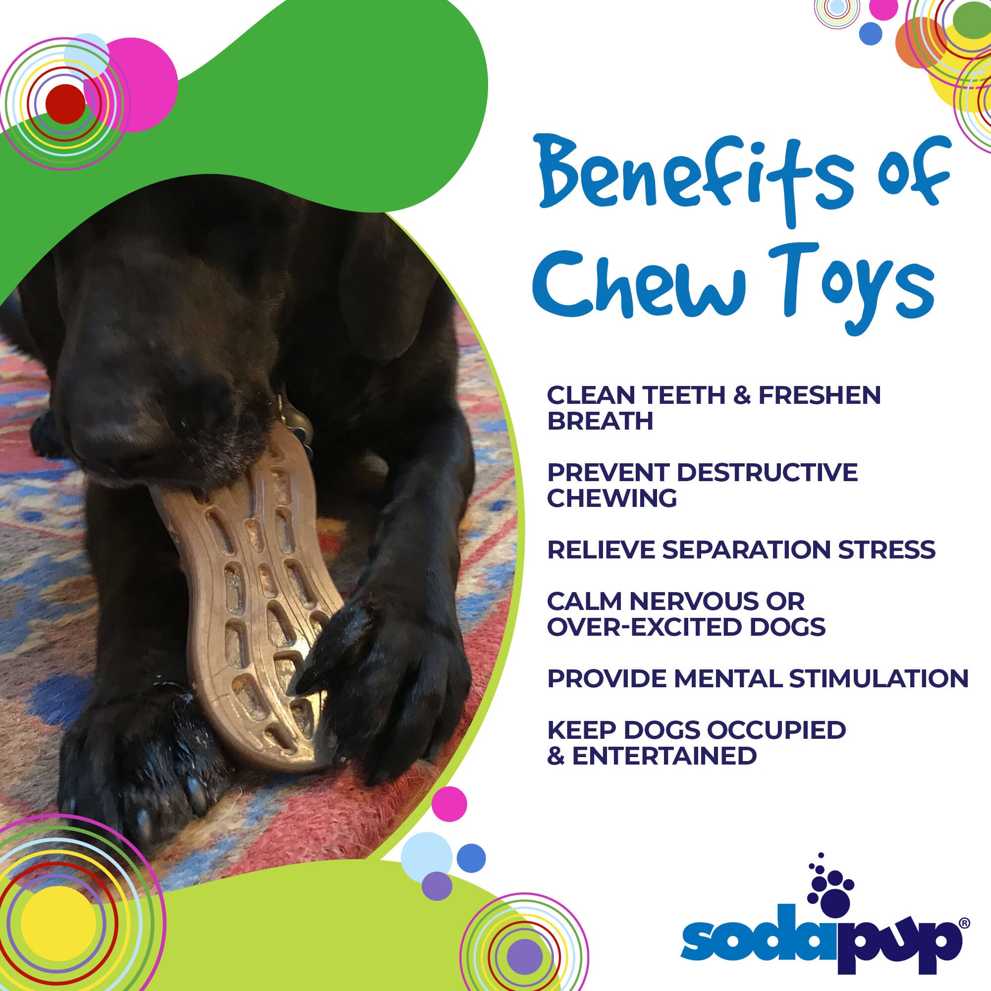 SodaPup Peanut eChew Nylon Dog Chew Toy Durable For Aggressive Chewers