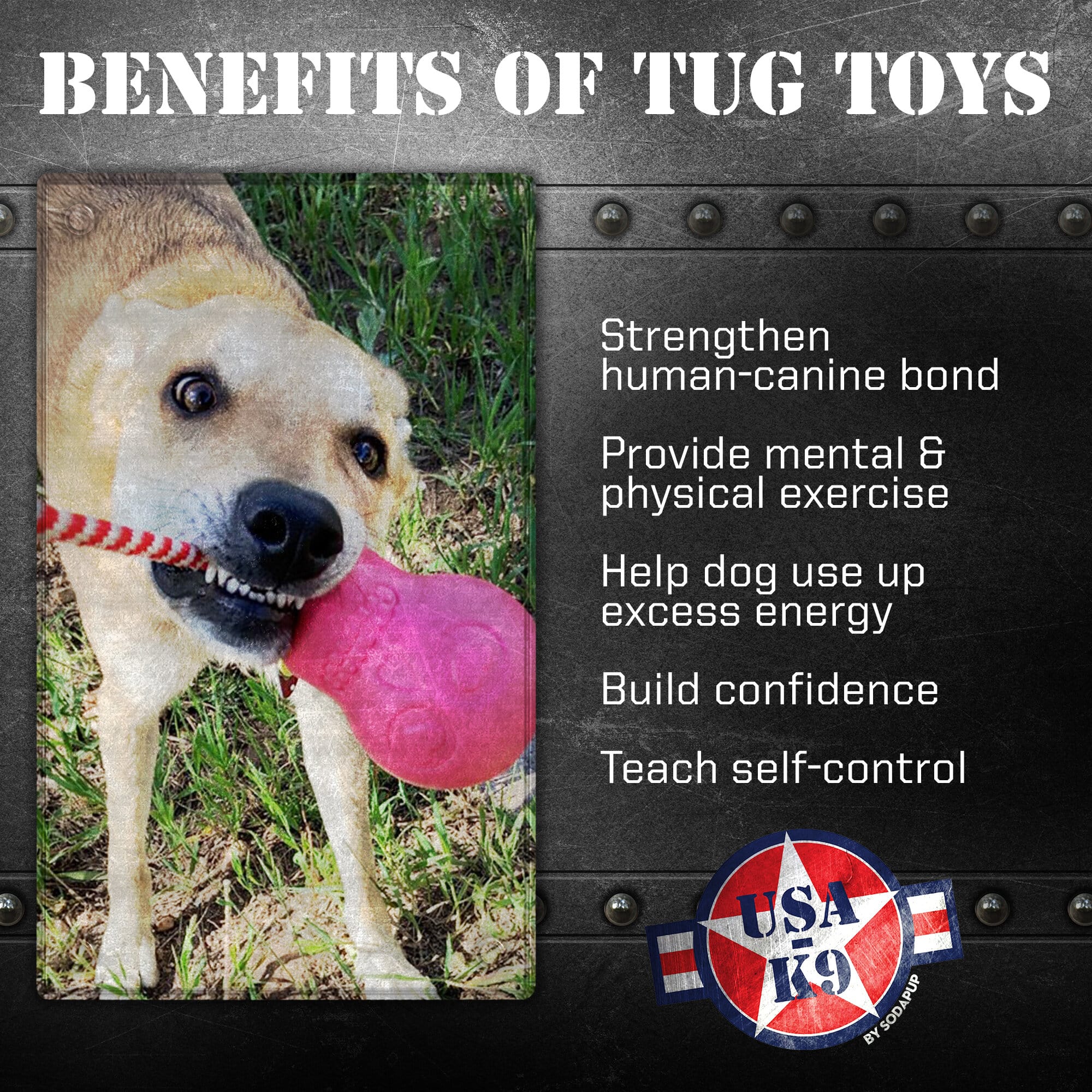 SodaPup Usa-K9 Skull Dog Chew Toy And Treat Dispenser