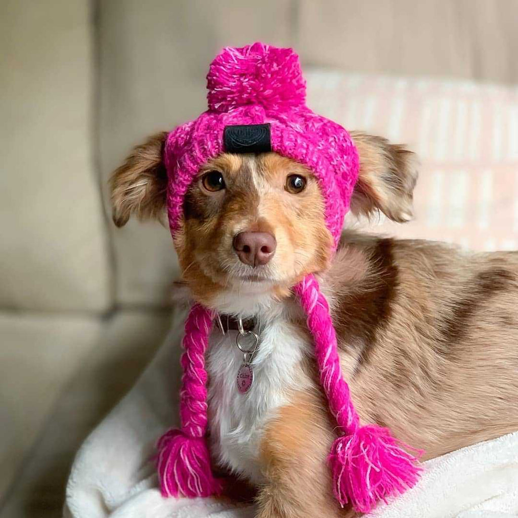 Fur Ball Warm And Windproof Fluffy Ball Knitting Method Dog  Hat