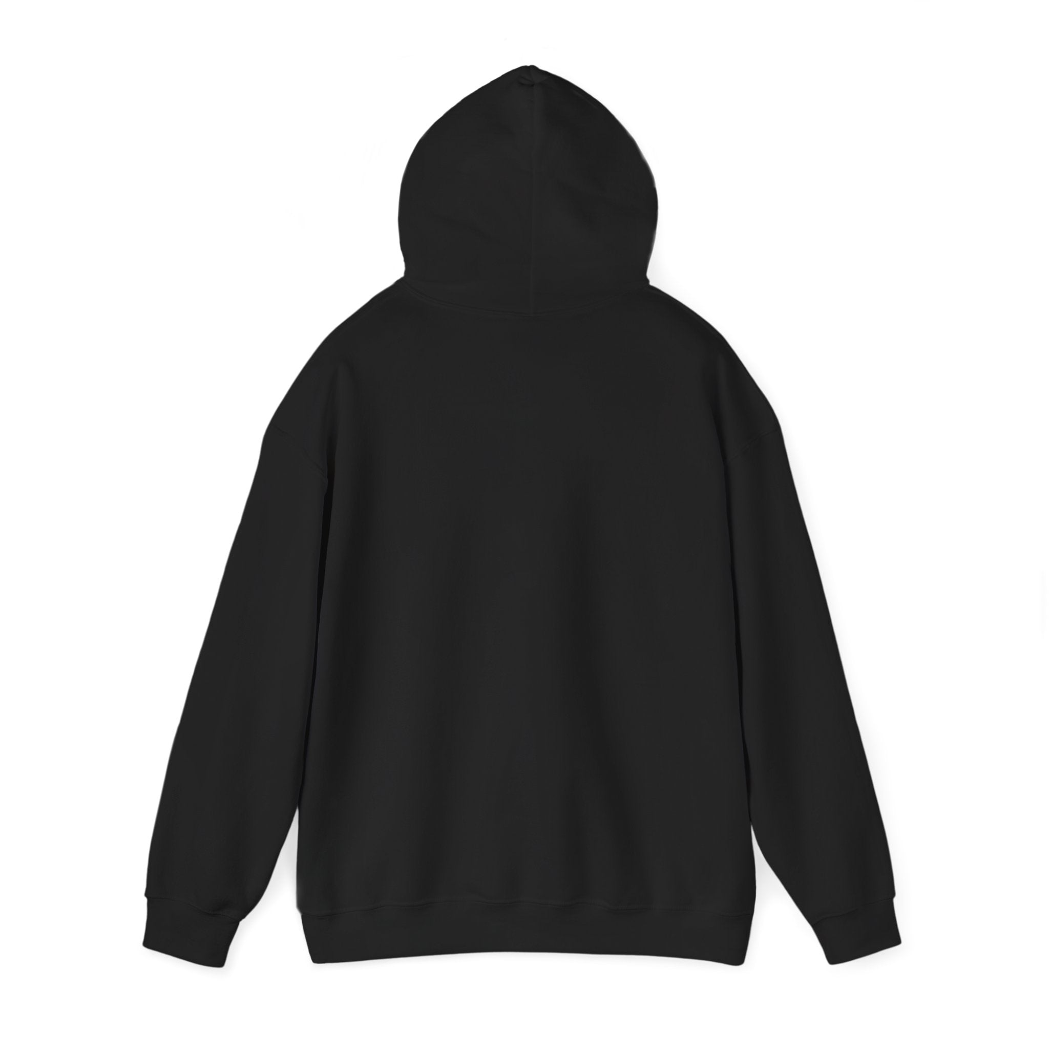 Racing Silly Horse Paddock Pass Hoodie | Meme Race-Day Fan Apparel