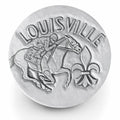 Louisville Coasters