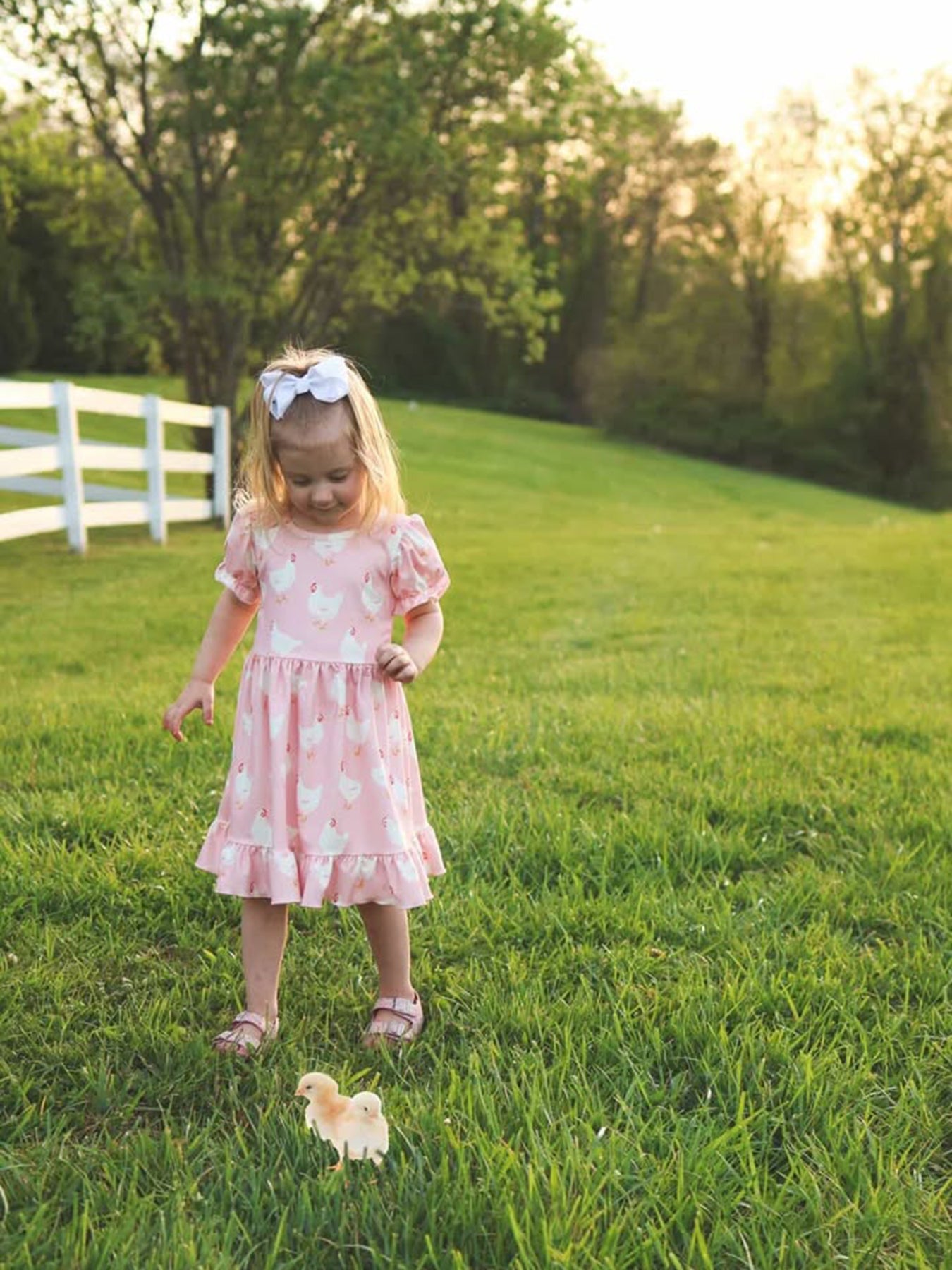 Farm Spring Chicken Print Girls Ruffle Dress