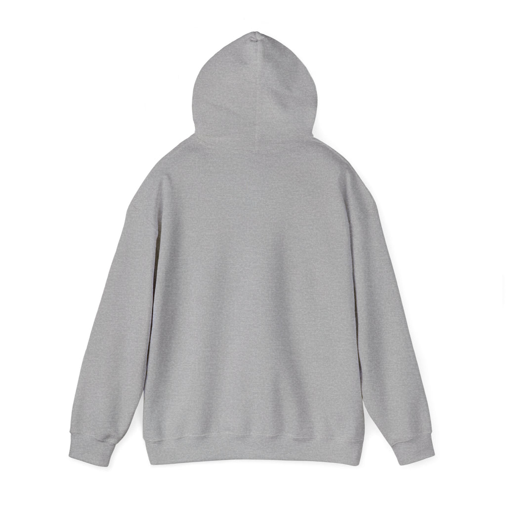 See You at the Finish Line Hoodie | Racing Horse Meme, Race Day Humor