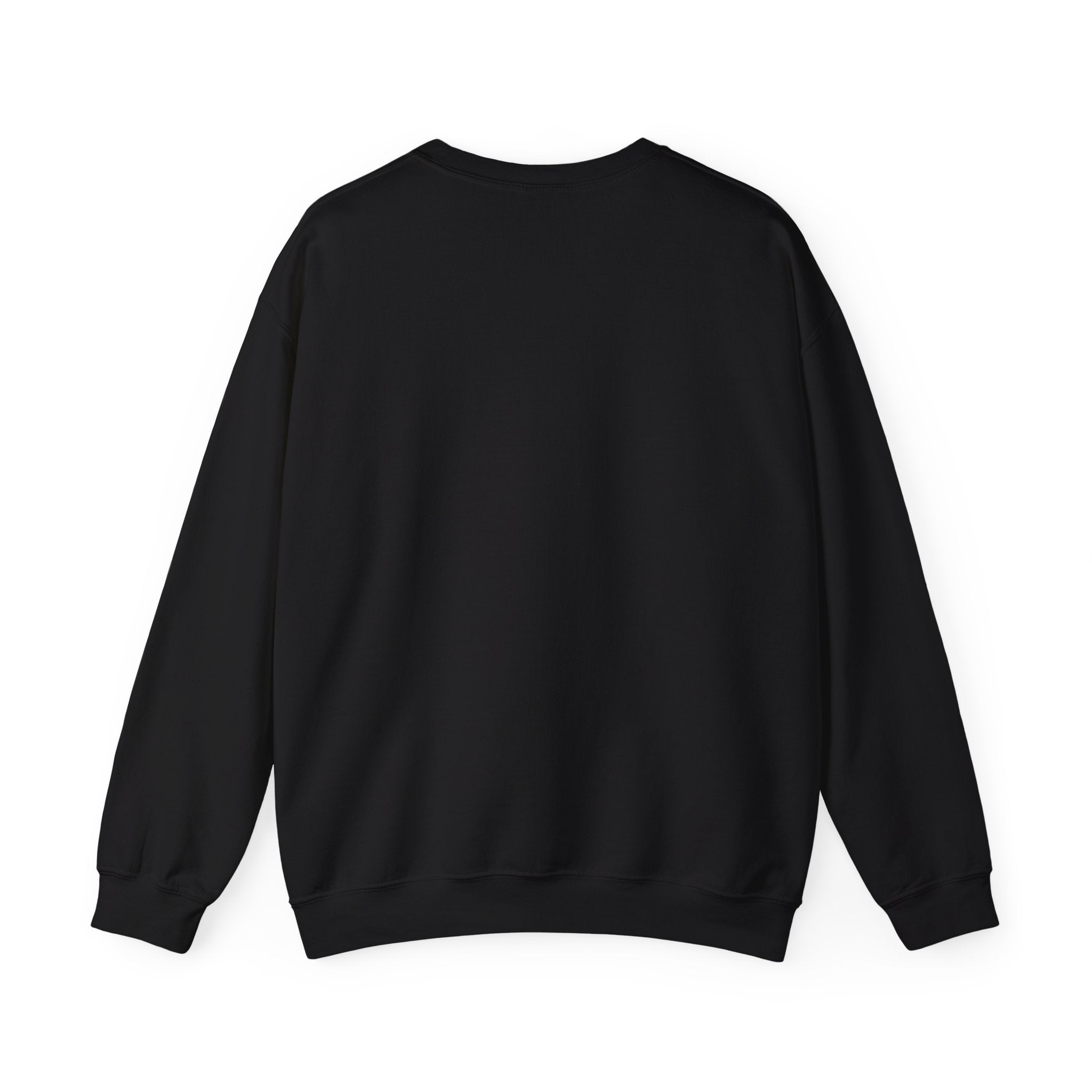 Paddock Pass Silly Horse Sweatshirt | Racing Meme, Fan