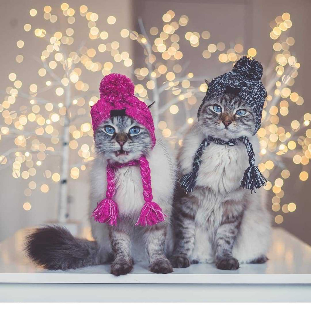 Fur Ball Warm And Windproof Fluffy Ball Knitting Method Dog  Hat