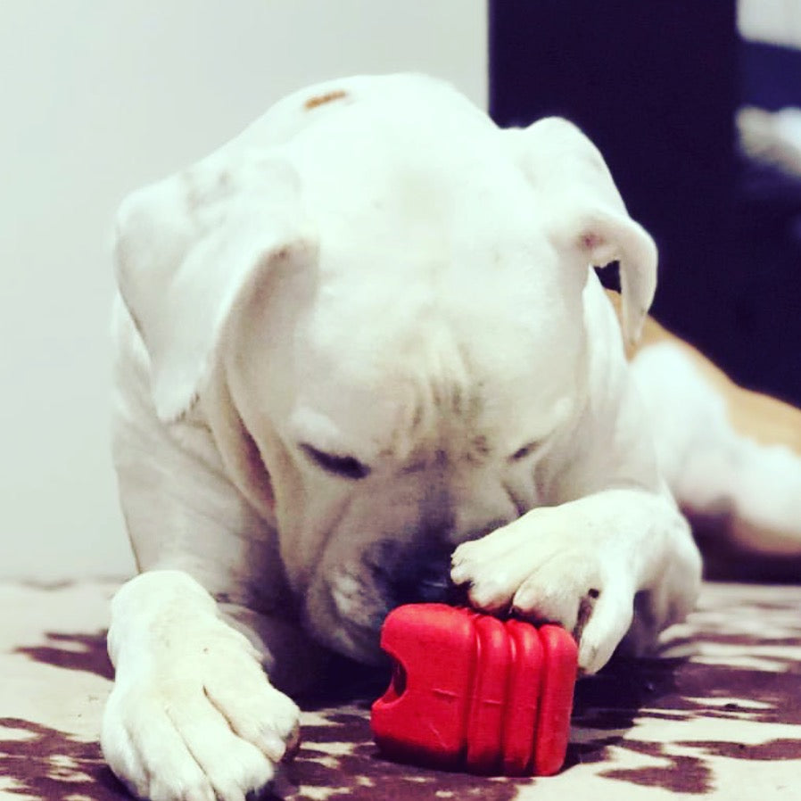 Heart on a String Dog Toy Durable Rubber Tug For Large Dogs HS-01