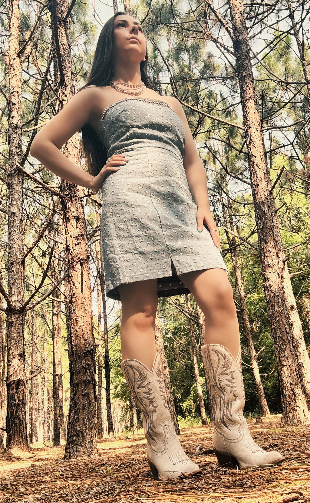Rhinestone Rodeo Tube Dress