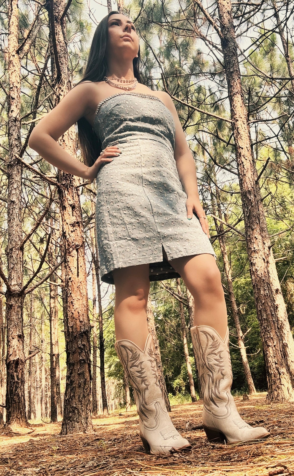 Rhinestone Rodeo Tube Dress