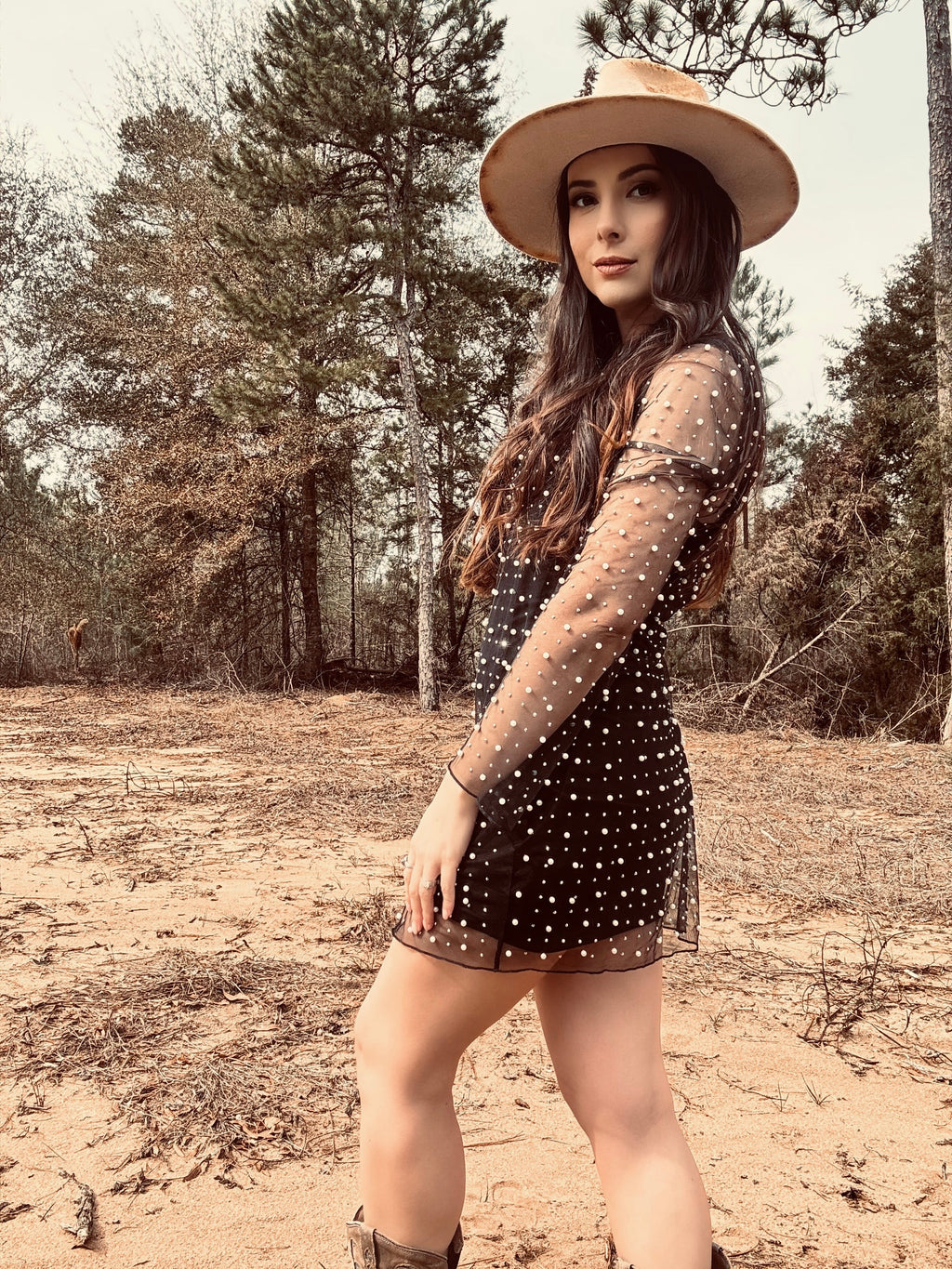 Midnight Pearl Mesh Dress