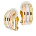Socialite Earring