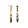 Fire And Ice Earrings