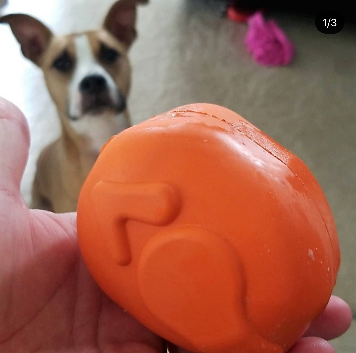 SodaPup Roasted Turkey eDispenser Dog Chew Toy Treat Dispenser
