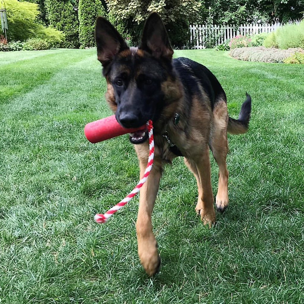 USA-K9 Firecracker Floating Training Dummy For K9 Handling Red