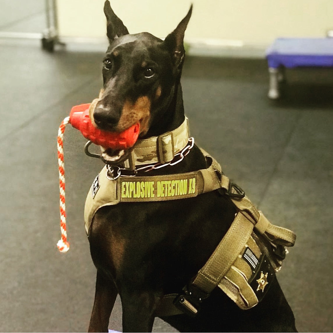 USA-K9 Magnum Grenade Rubber Chew Toy for Extreme Chewers
