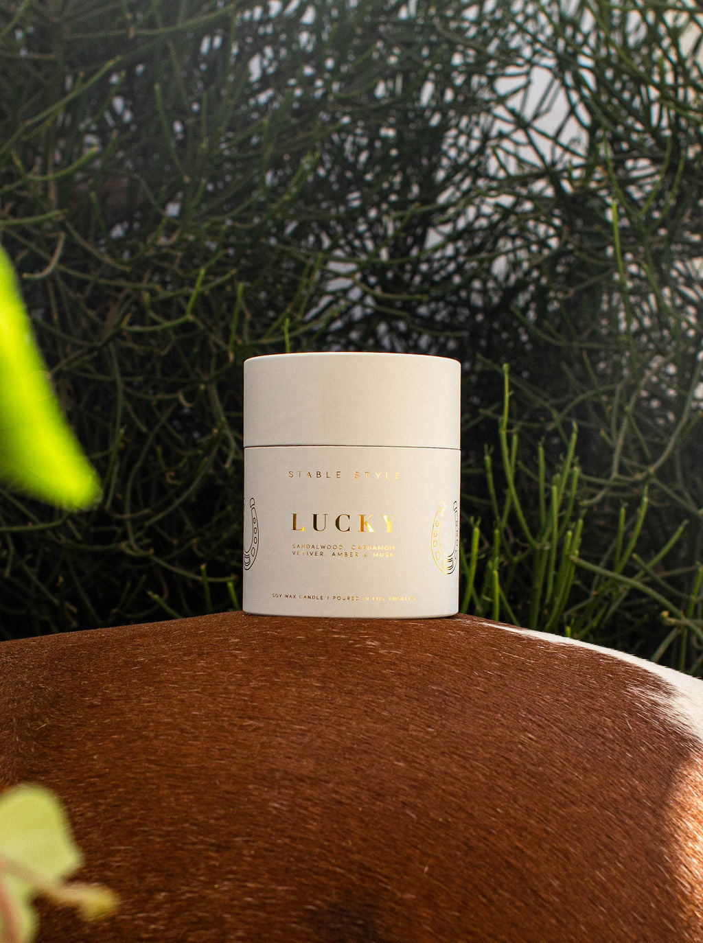 Horseshoe Candle - Lucky