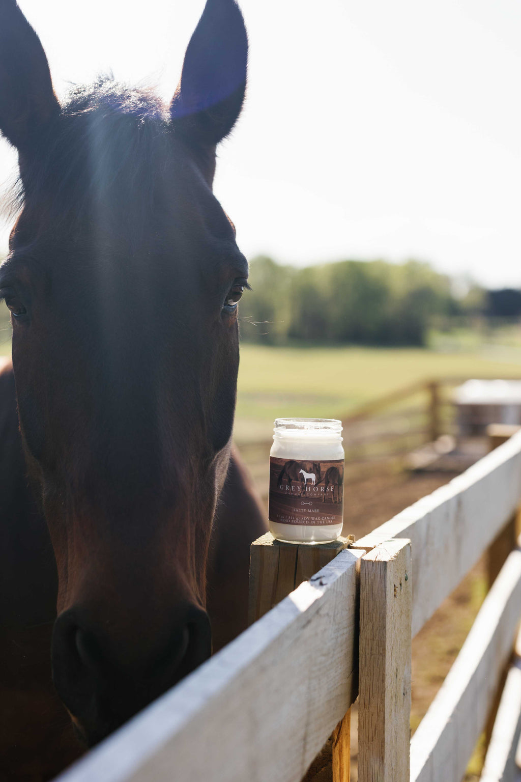 Salty Mare - Scent of the Month
