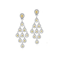 Chandelier Earrings