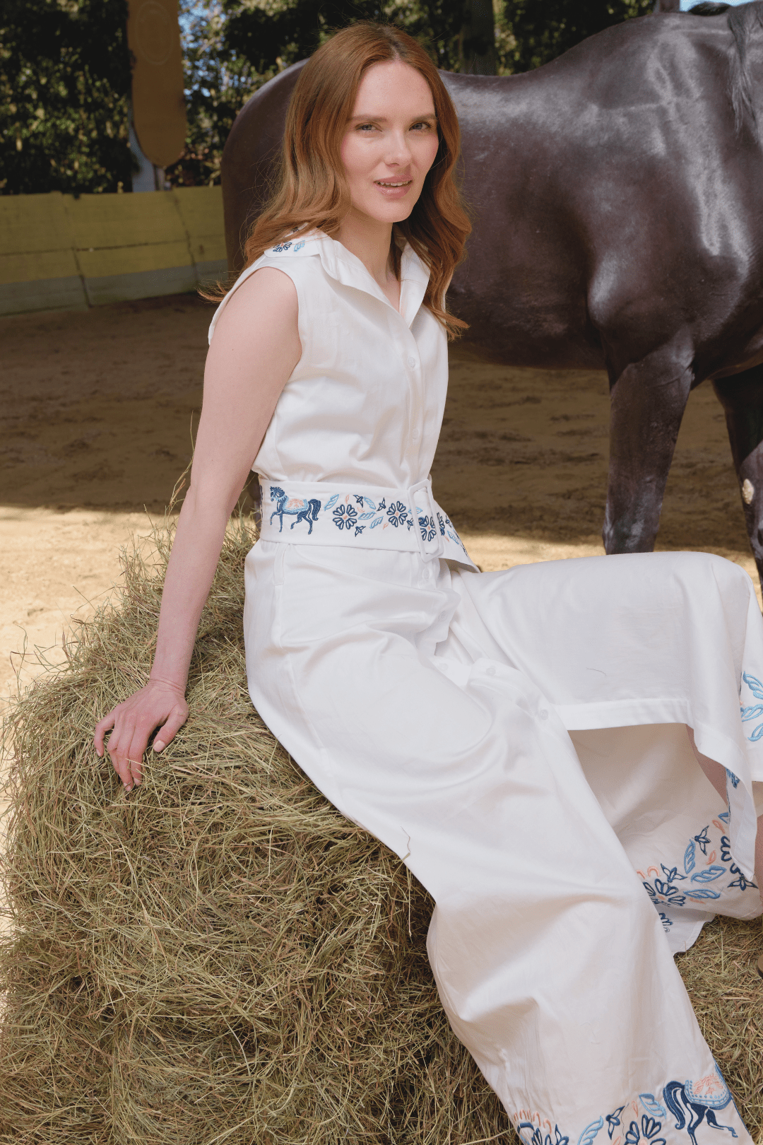 Annie Florale Embroidered Cotton Dress
