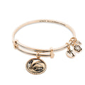 Lolo Dolphins Bangle.