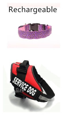 LED Dog Collar Safety Adjustable Nylon Leopard Print Rechargeable