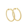 Glamour Pave Earrings