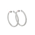 Glamour Pave Earrings