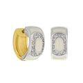 Two-Tone Enamel Earrings