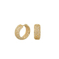 Glamour Pave Earrings