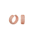 Glamour Pave Earrings