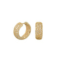 Glamour Pave Earrings