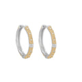 Polka Dot Earrings
