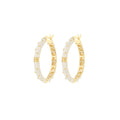 Polka Dot Earrings