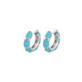 Polka Dot Earrings