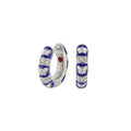 Butterfly World Earrings