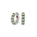 Butterfly World Earrings