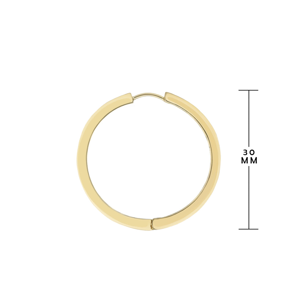 Hoop Earrings