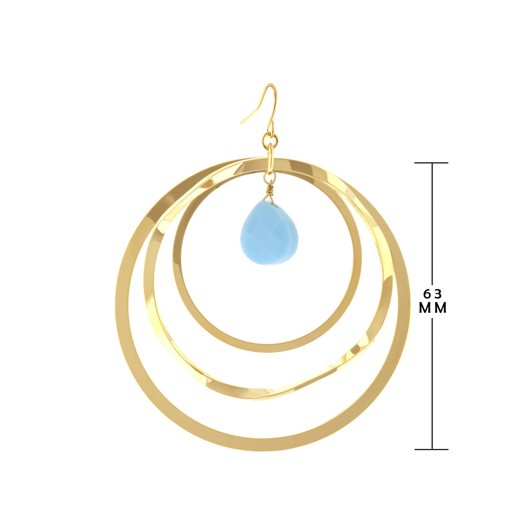 Fish Hook Earrings