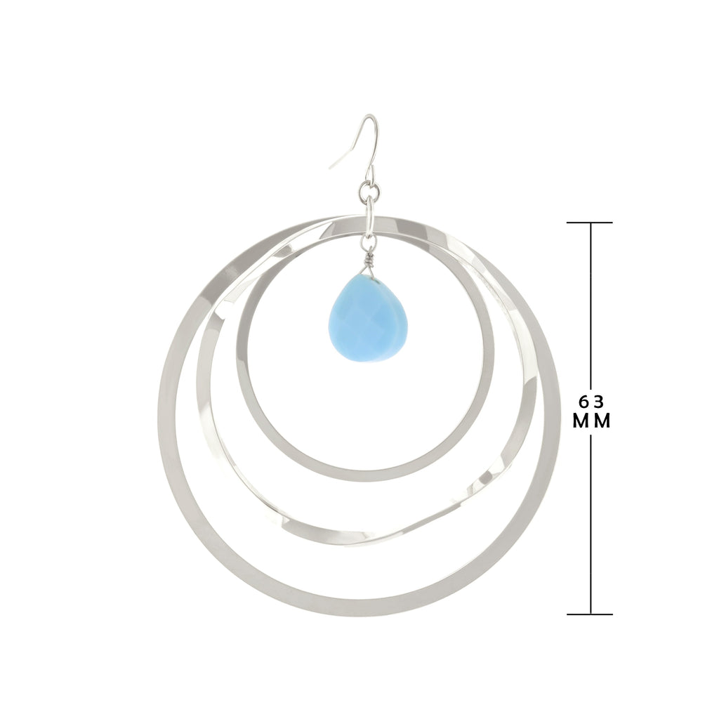 Fish Hook Earrings