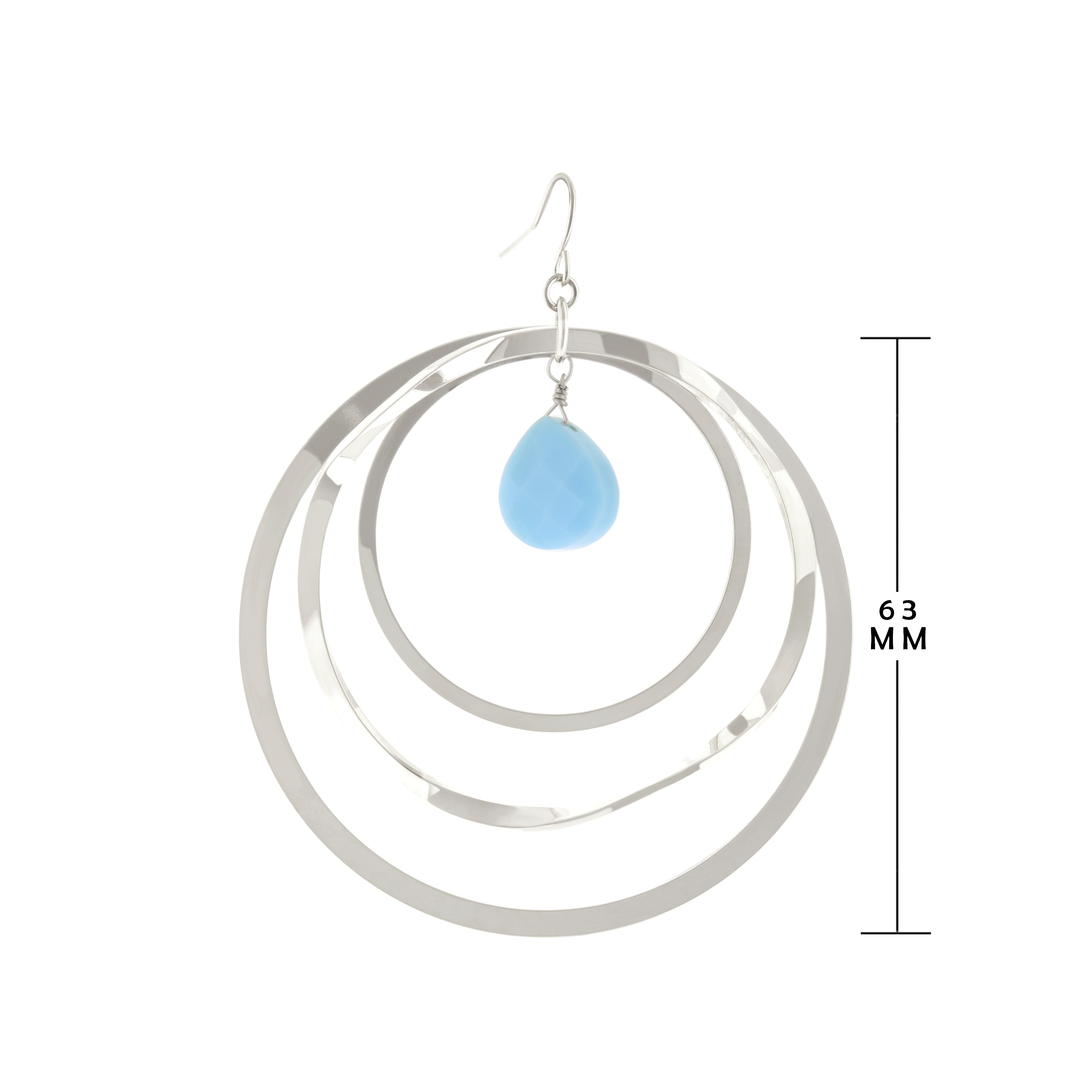 Fish Hook Earrings
