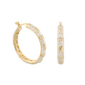 Elegant Hugs Earrings